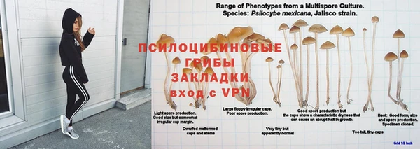 меф Новодвинск