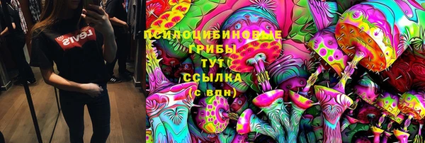 дживик Нея