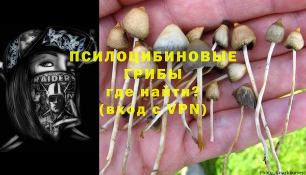 гашишное масло Новокубанск