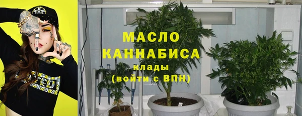 прущие грибы Нефтекумск