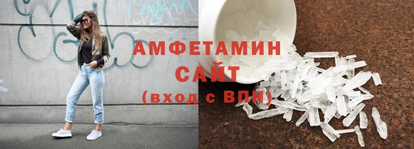 амф Новозыбков