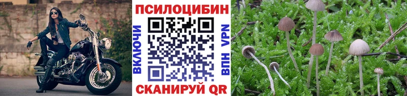 Галлюциногенные грибы Psilocybe  Полярные Зори 